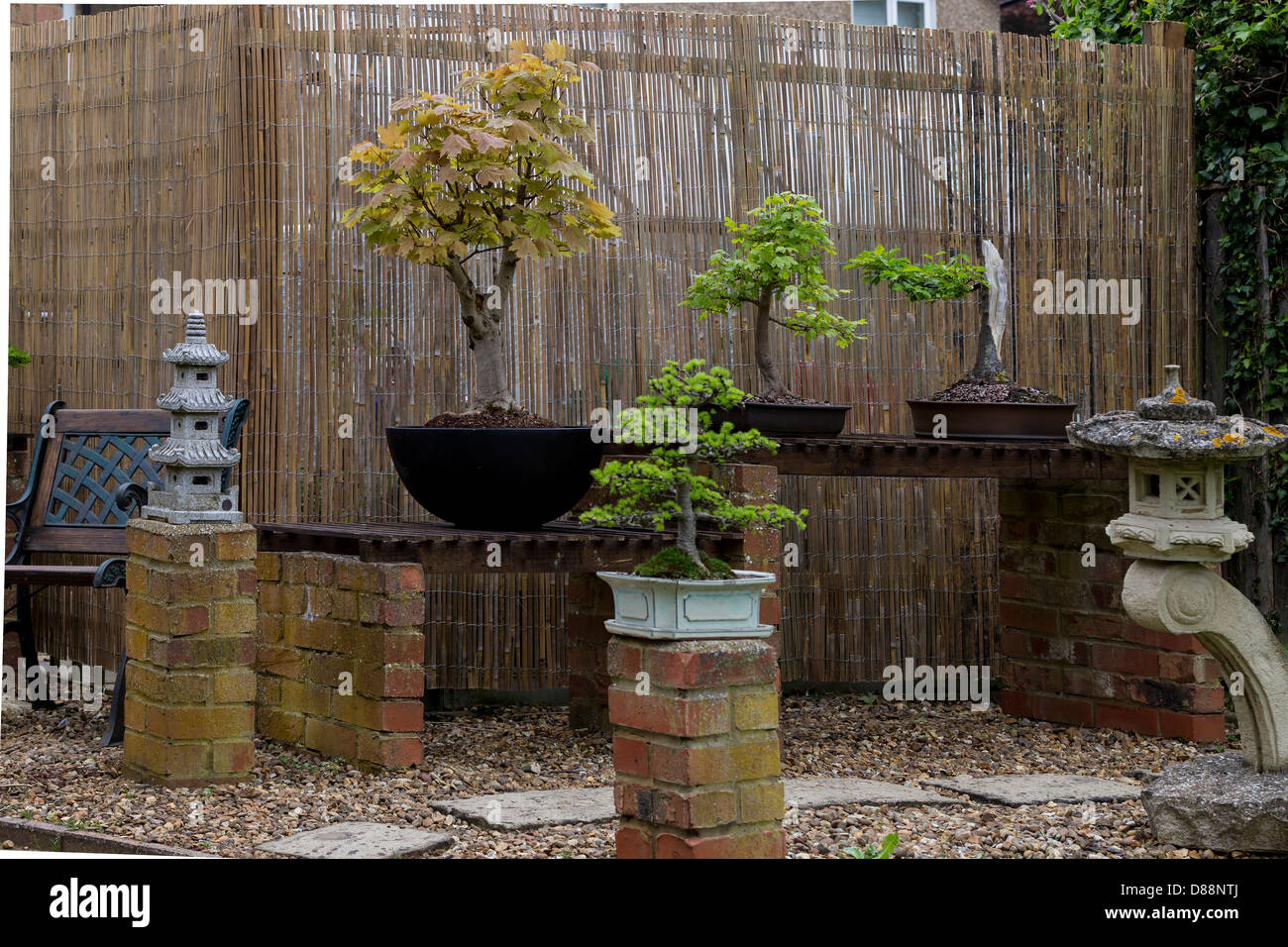 Bonsai garden hires stock photography and images Alamy