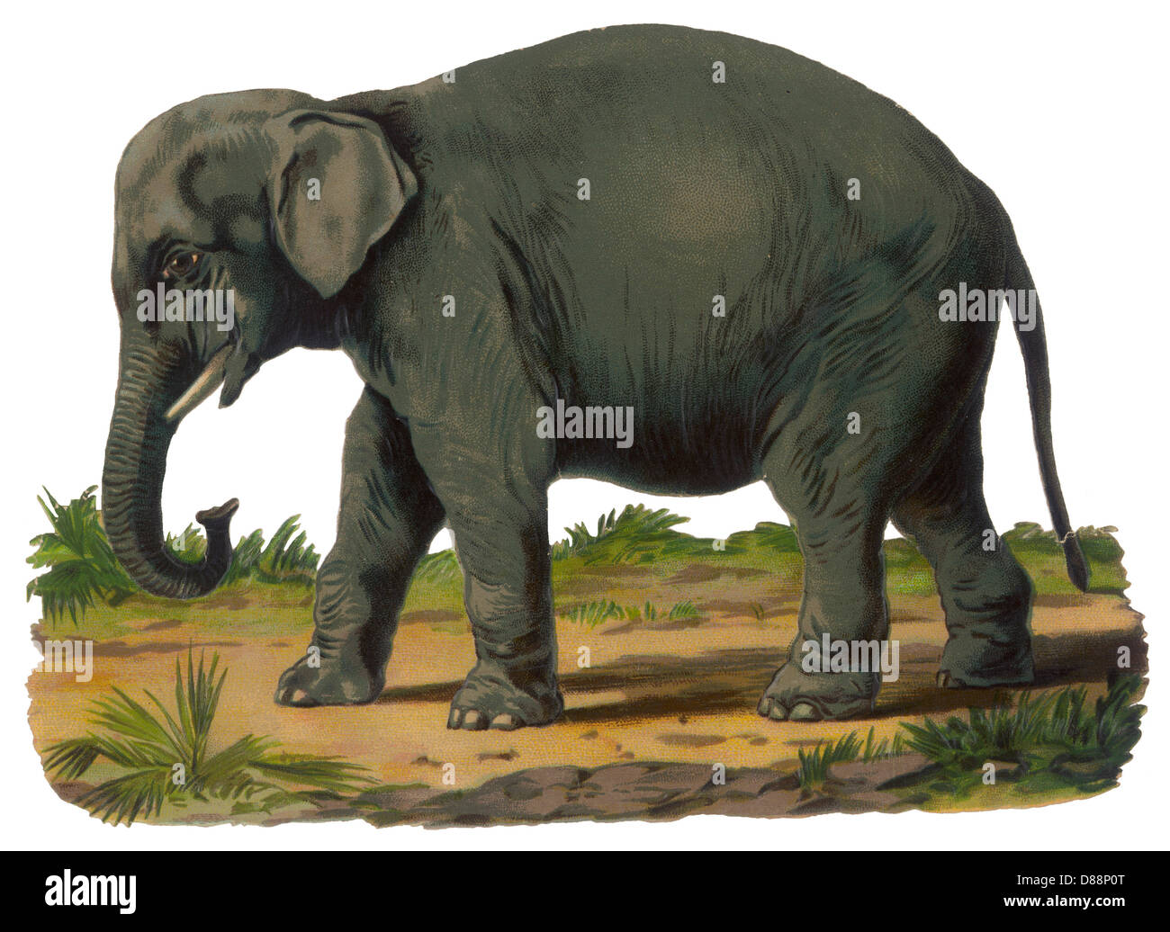 Elephants - Scrap Stock Photo