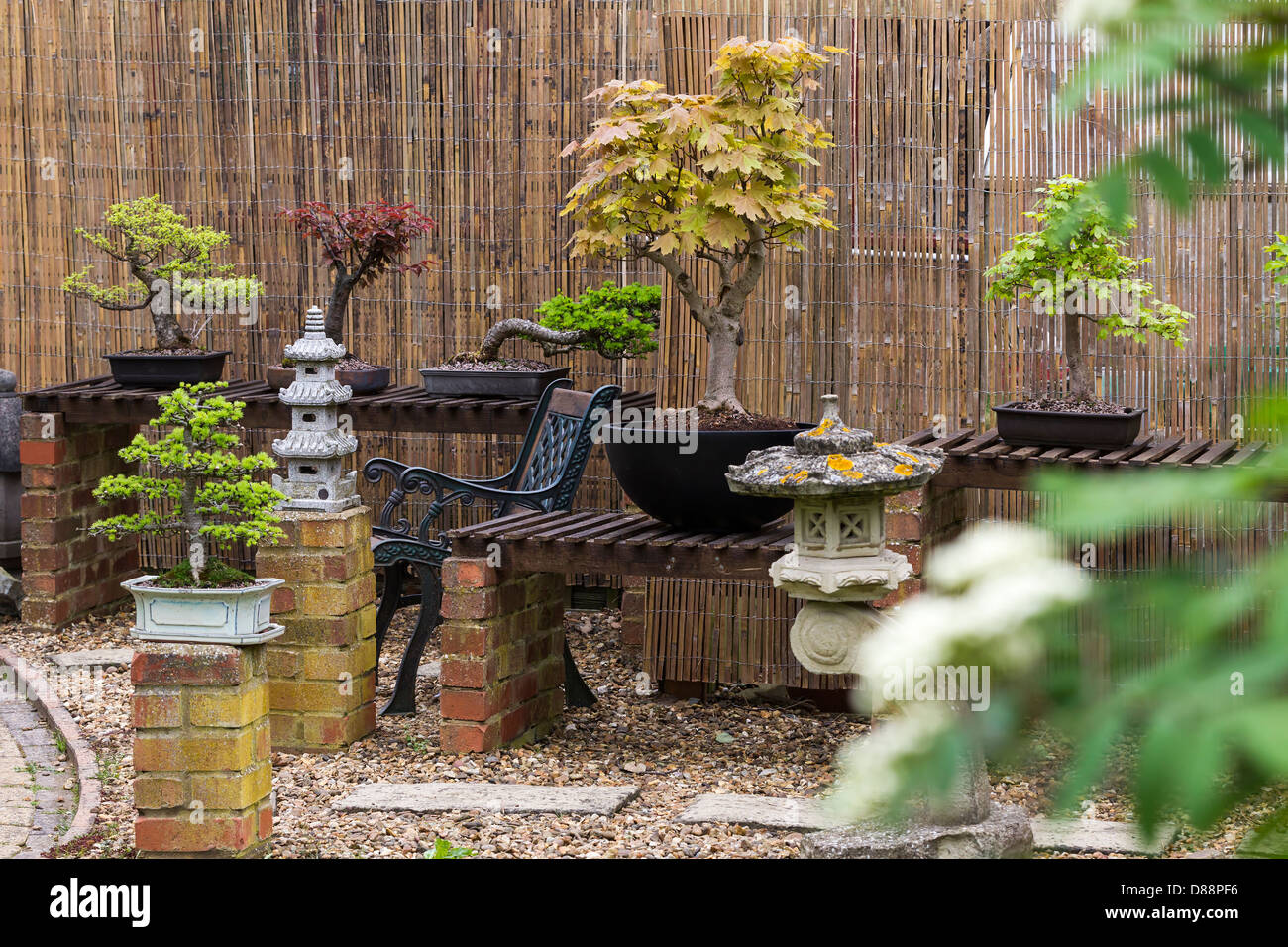 Garden display of Bonsai. Stock Photo