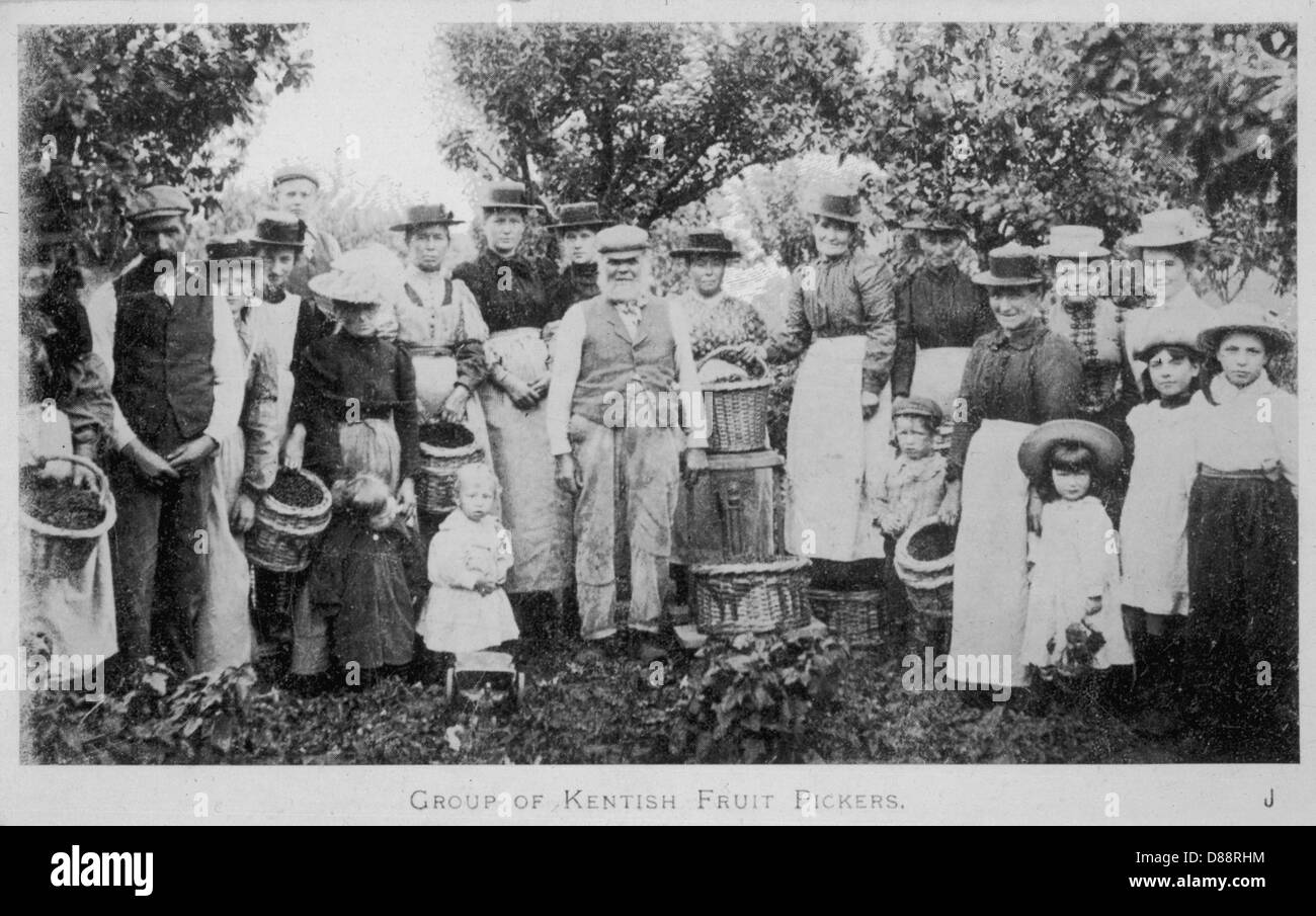 HOP PICKERS 1905 Stock Photo