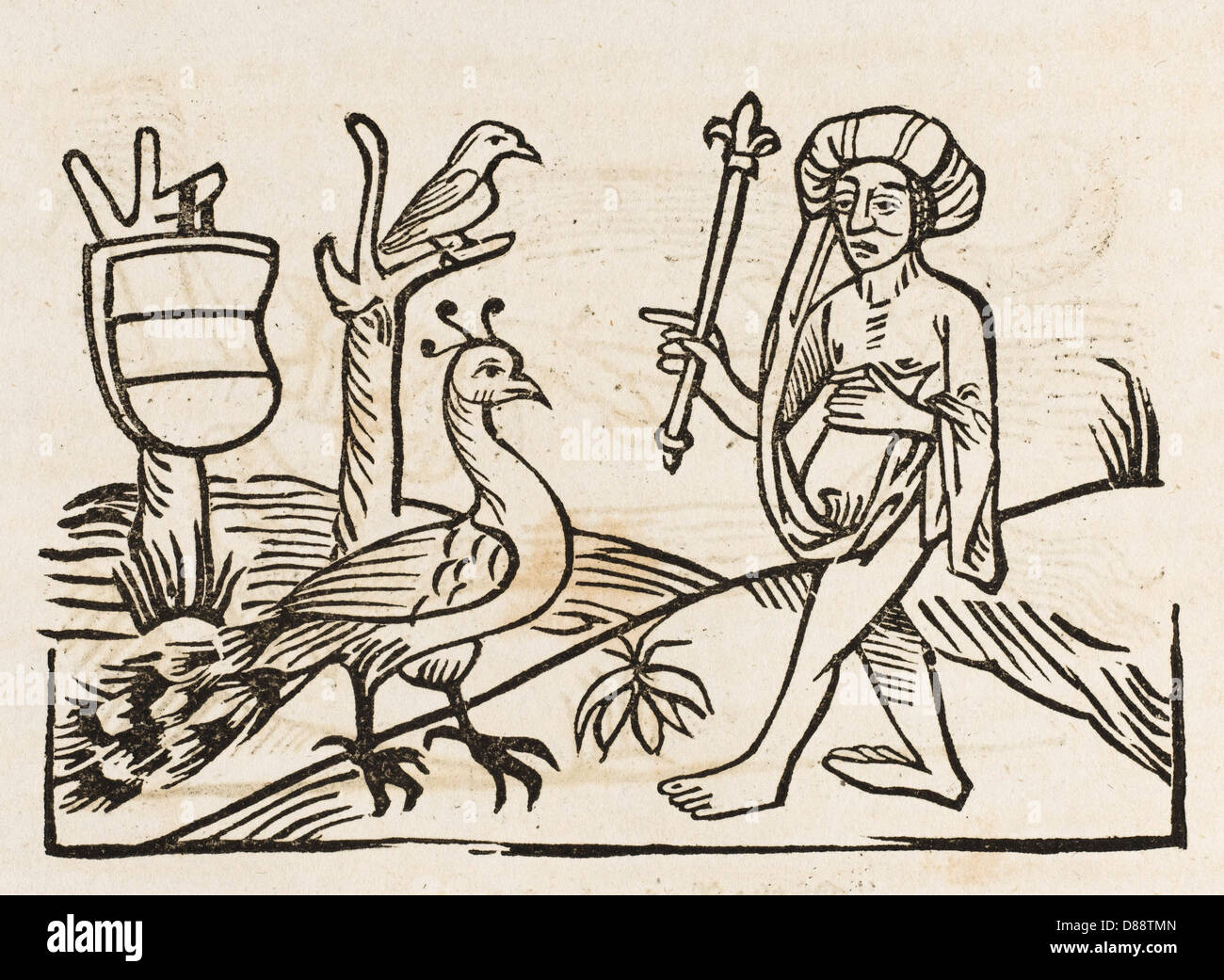 AESOP / JUNO AND PEACOCK Stock Photo - Alamy