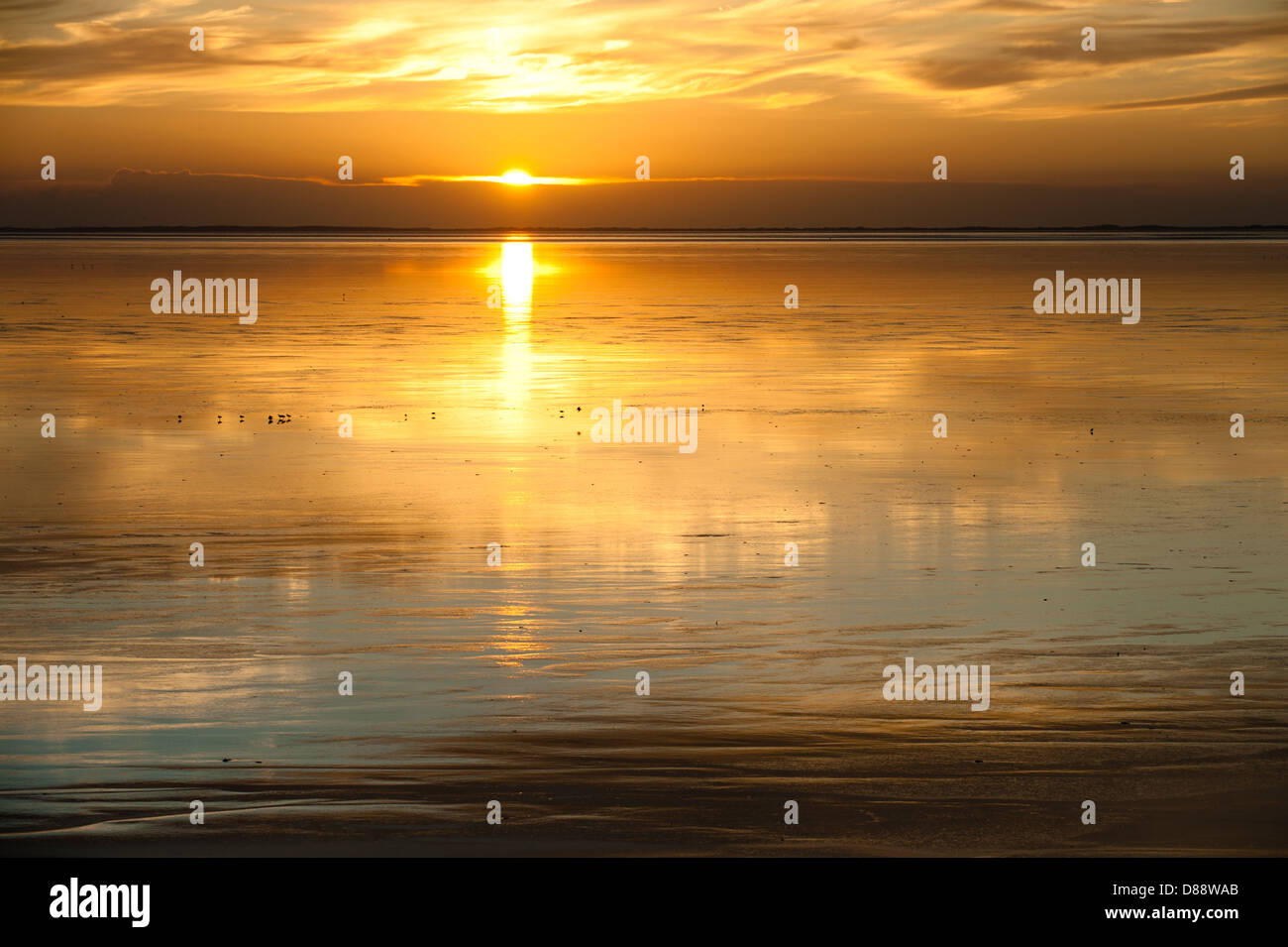 sunset on waddensea in the netherlands Stock Photo