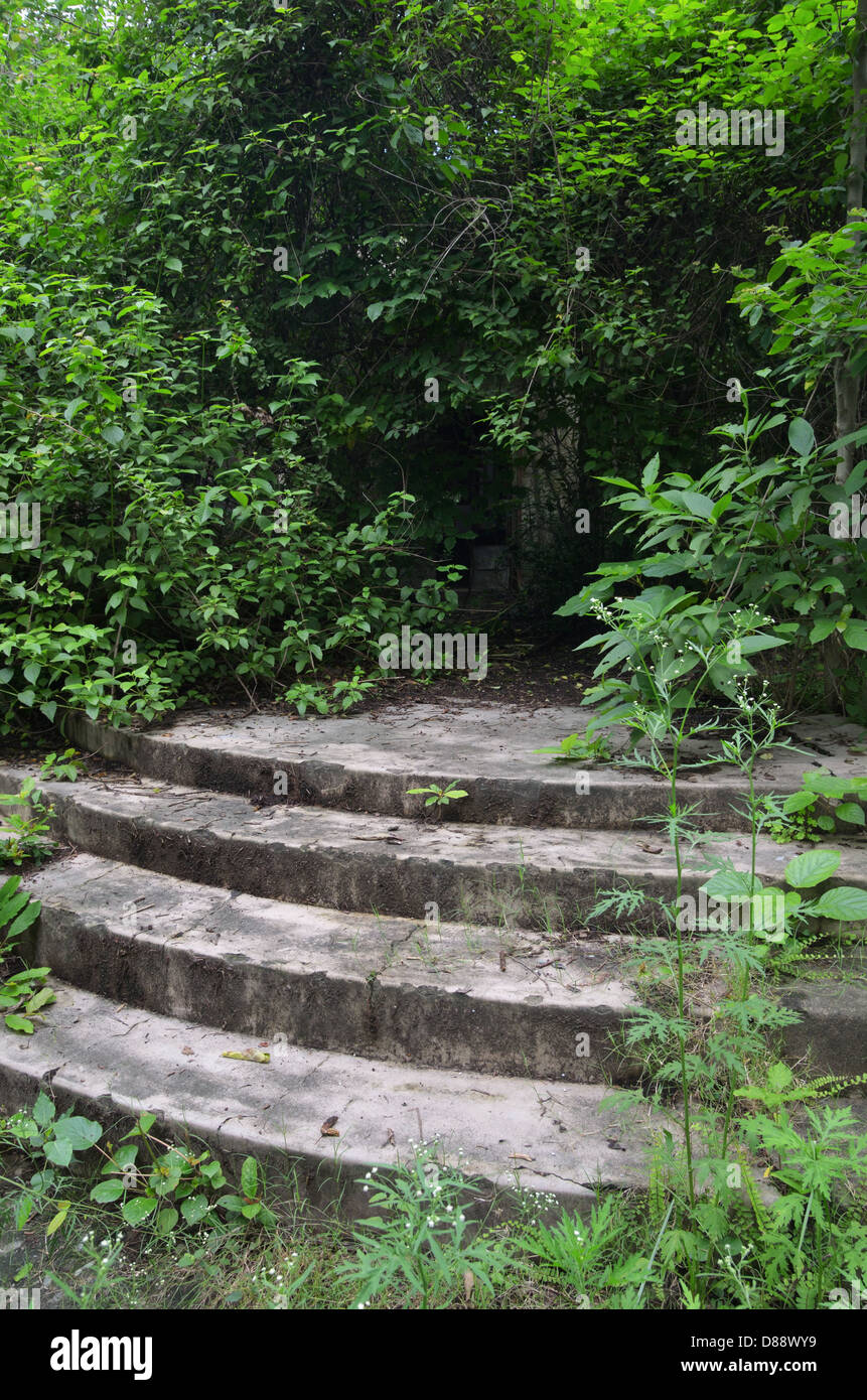 Stone steps leading to Yoga Hall, Maharishi Mahesh Yogi Ashram (Beatles Ashram), Rishikesh, India - Aug 2012 Stock Photo