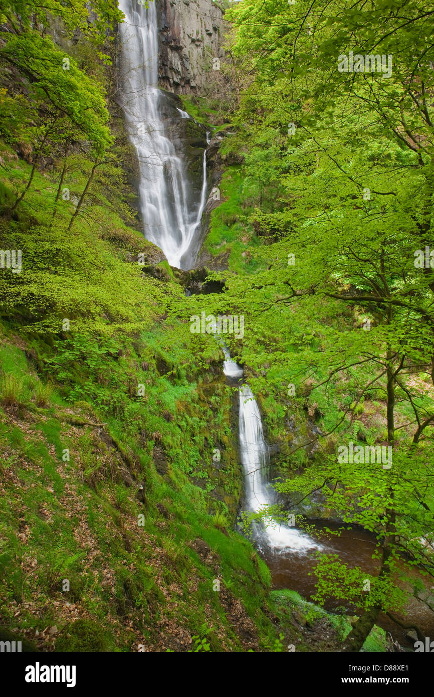 Pistyll Rhaeadr Waterfalls Nr. Llanrhaeadr ym Mochnant Welshpool Powys Wales Stock Photo