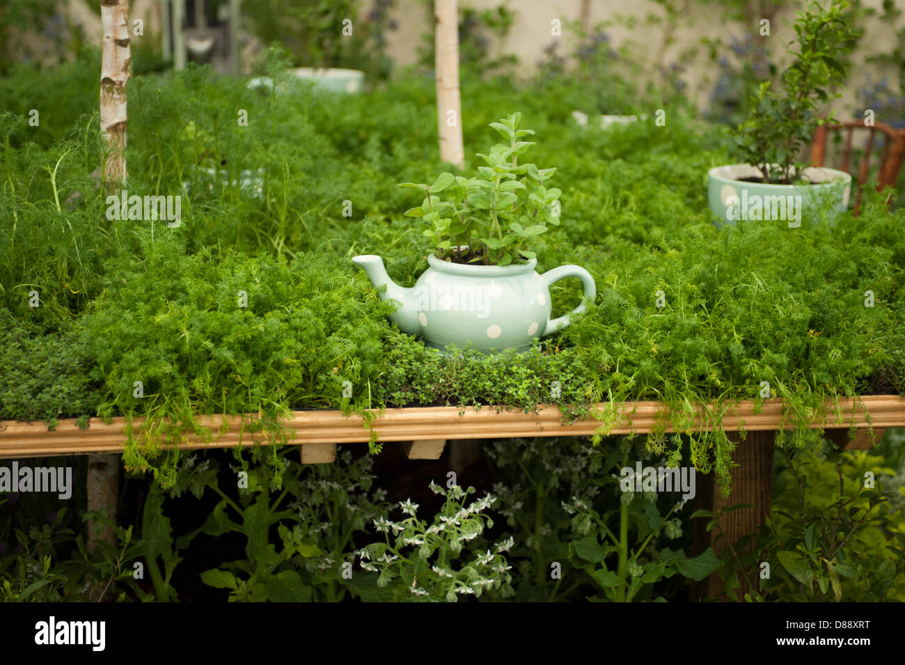 London, UK. 20th May 2013. Sparsholt College stand based on The Mad Hatters Tea Party at the RHS Chelsea Flower Show. Credit:  Malcolm Park / Alamy Live News Stock Photo