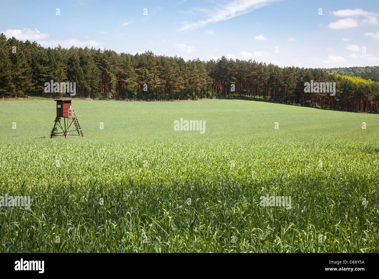 Farmland with hunting platform in Hoher Fläming National Park, near Bad Belzig, Brandenburg, Germany Stock Photo