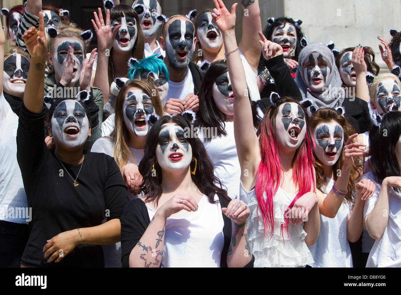 Badger flashmob in Smith Square,London outside the DEFRA offices in opposition to the badger cull Stock Photo