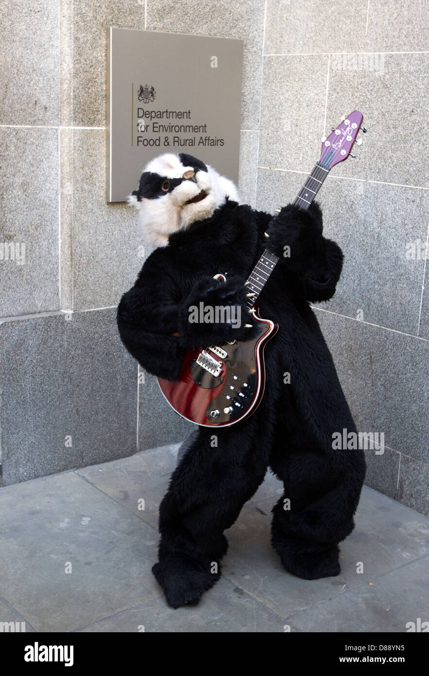 Badger flashmob outside DEFRA to demonstrate against the Badger cull Stock Photo