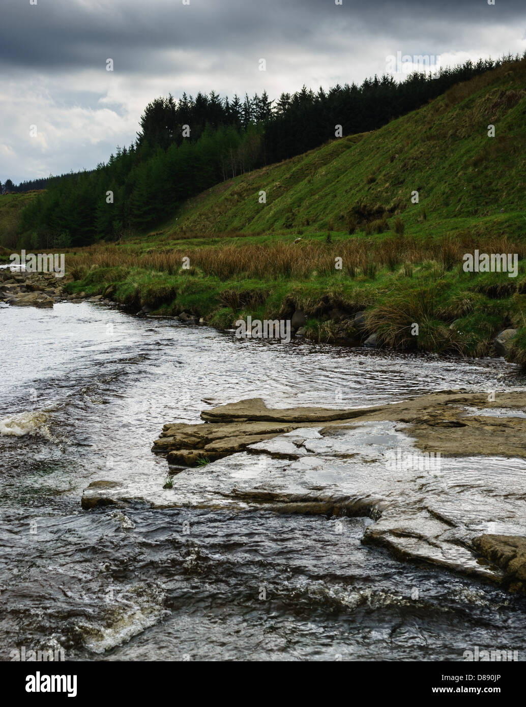 Cliffhope Burn in upper Liddesdale, near Saughtree, Wauchope Forest hill country in the Scottish Borders. Stock Photo