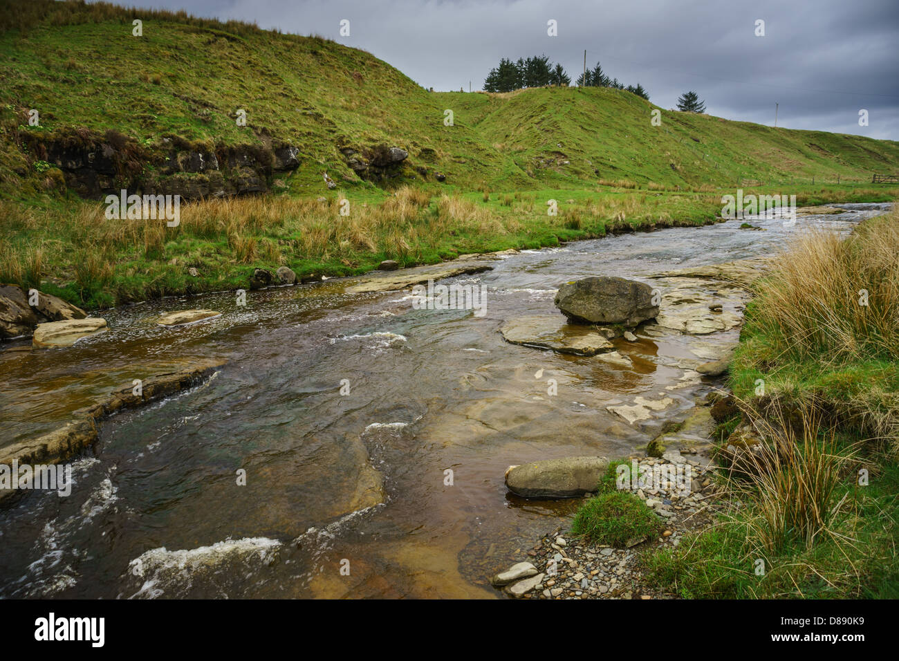 Cliffhope Burn in upper Liddesdale, near Saughtree, Wauchope Forest hill country in the Scottish Borders. Stock Photo