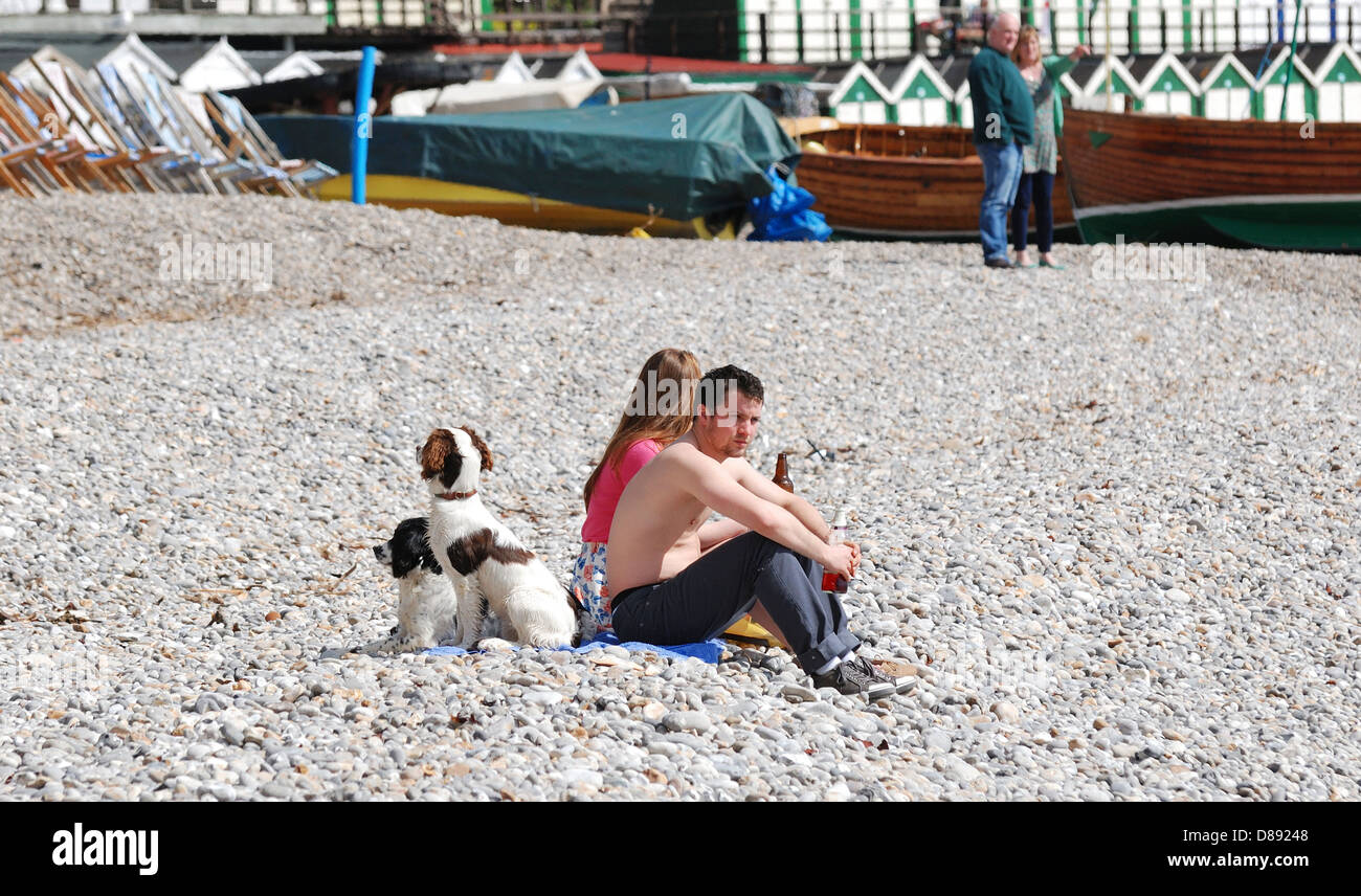 A young couple with 2 dogs sitting on the beach Beer Devon England uk