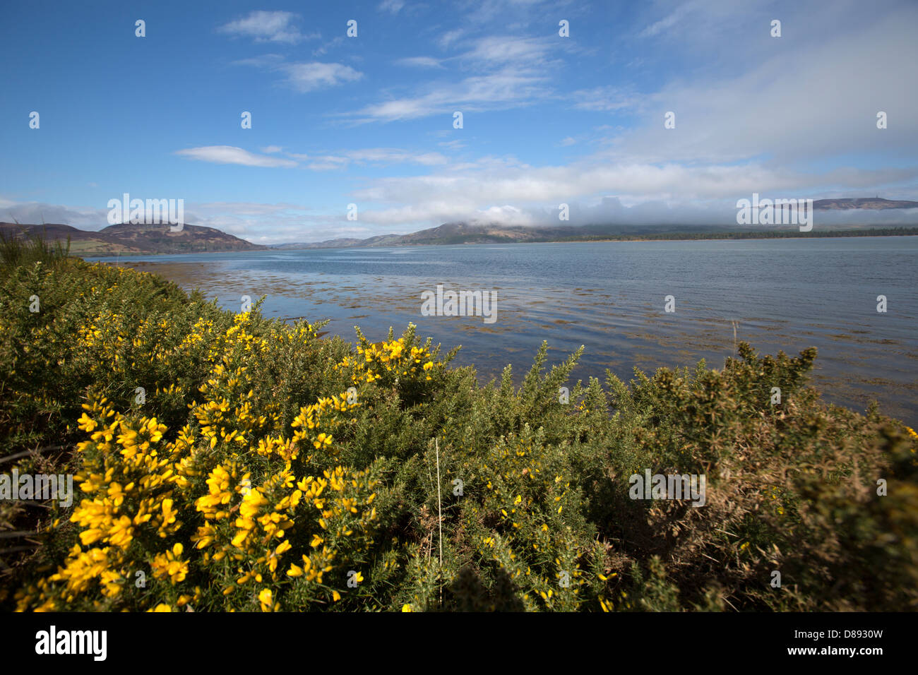 Loch Fleet, Scotland. Loch Fleet with cloud covered Balblair Wood, Mound Rock, Silver Rock and Princess Cairn in the background. Stock Photo