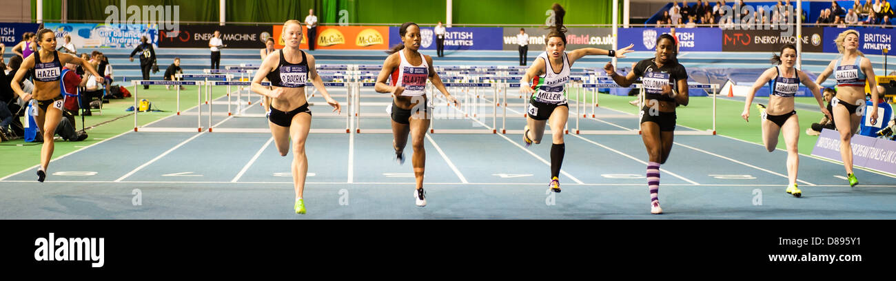 10 FEB - Women's 60m Hurdles final, 2013 UK Indoor Championships, EIS, Sheffield, UK Stock Photo