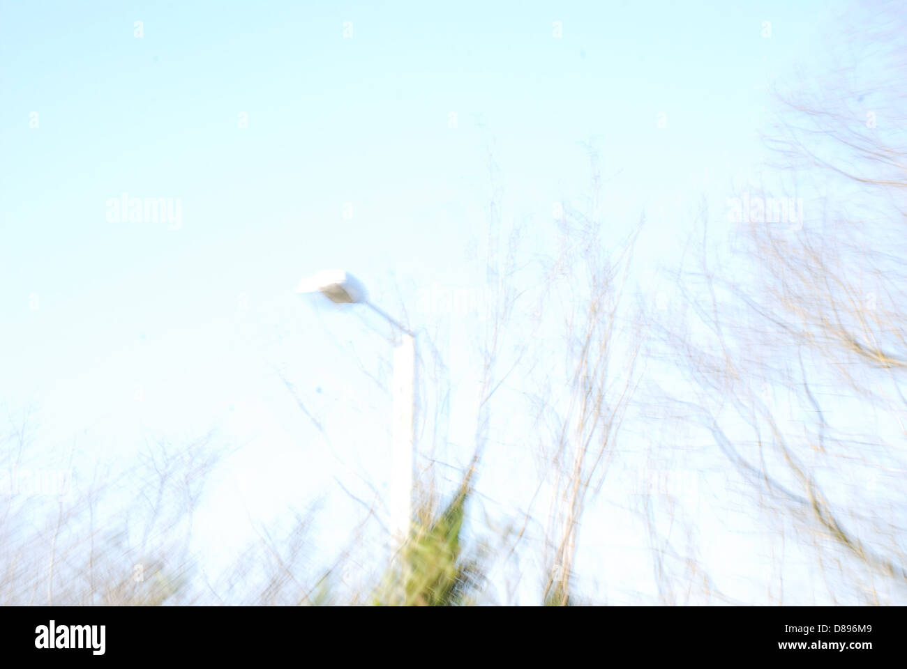 Tree next street lamp hi-res stock photography and images - Alamy