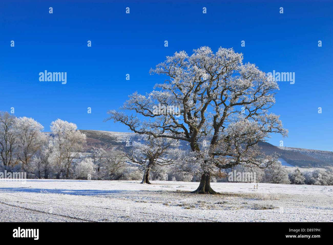 Rural countryside Brecon Beacons Powys Wales in winter Stock Photo Alamy