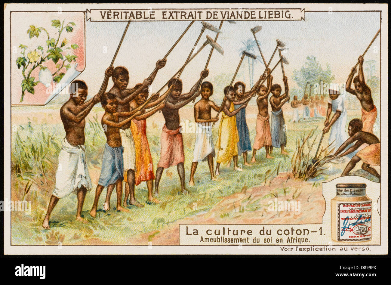 Liebig Cotton Industry Stock Photo Alamy