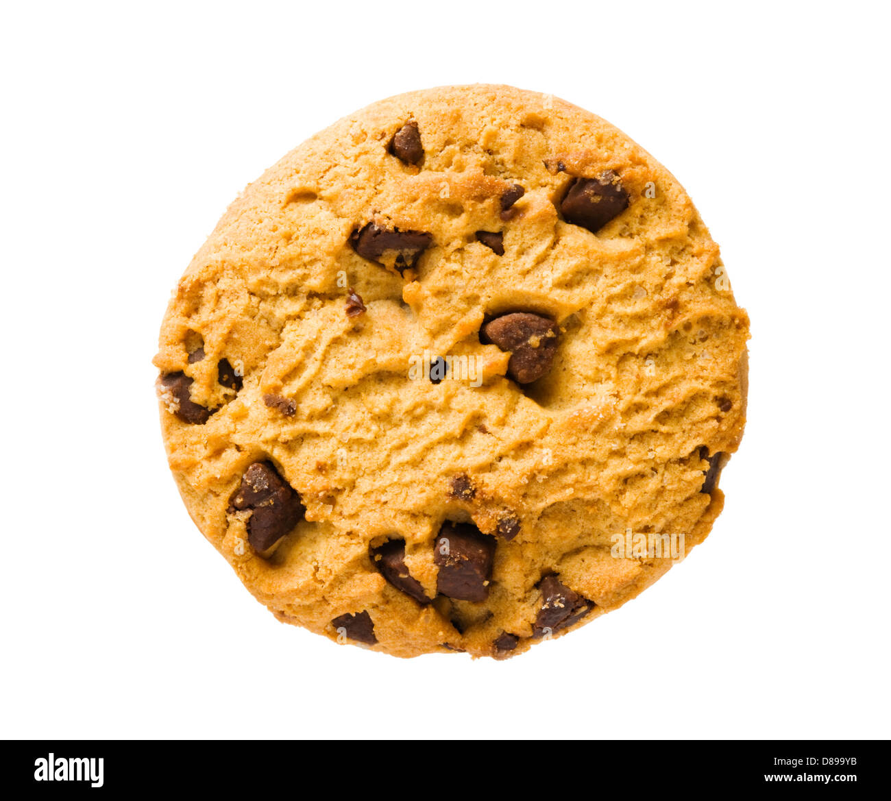 Chocolate chip cookie. Stock Photo