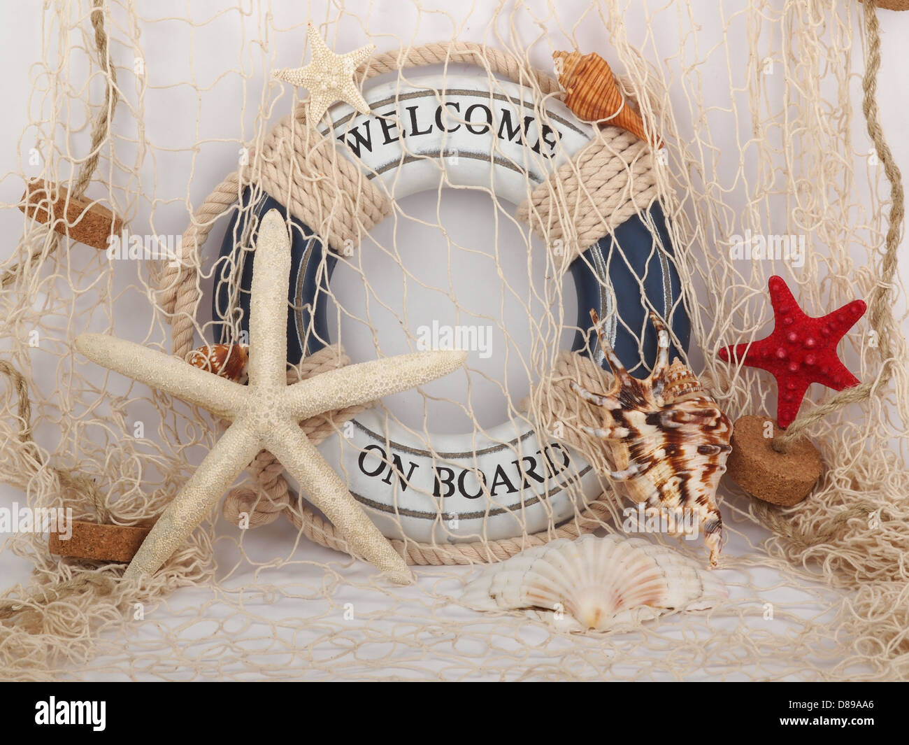 safe belt shell and starfish in a fishing net Stock Photo Alamy
