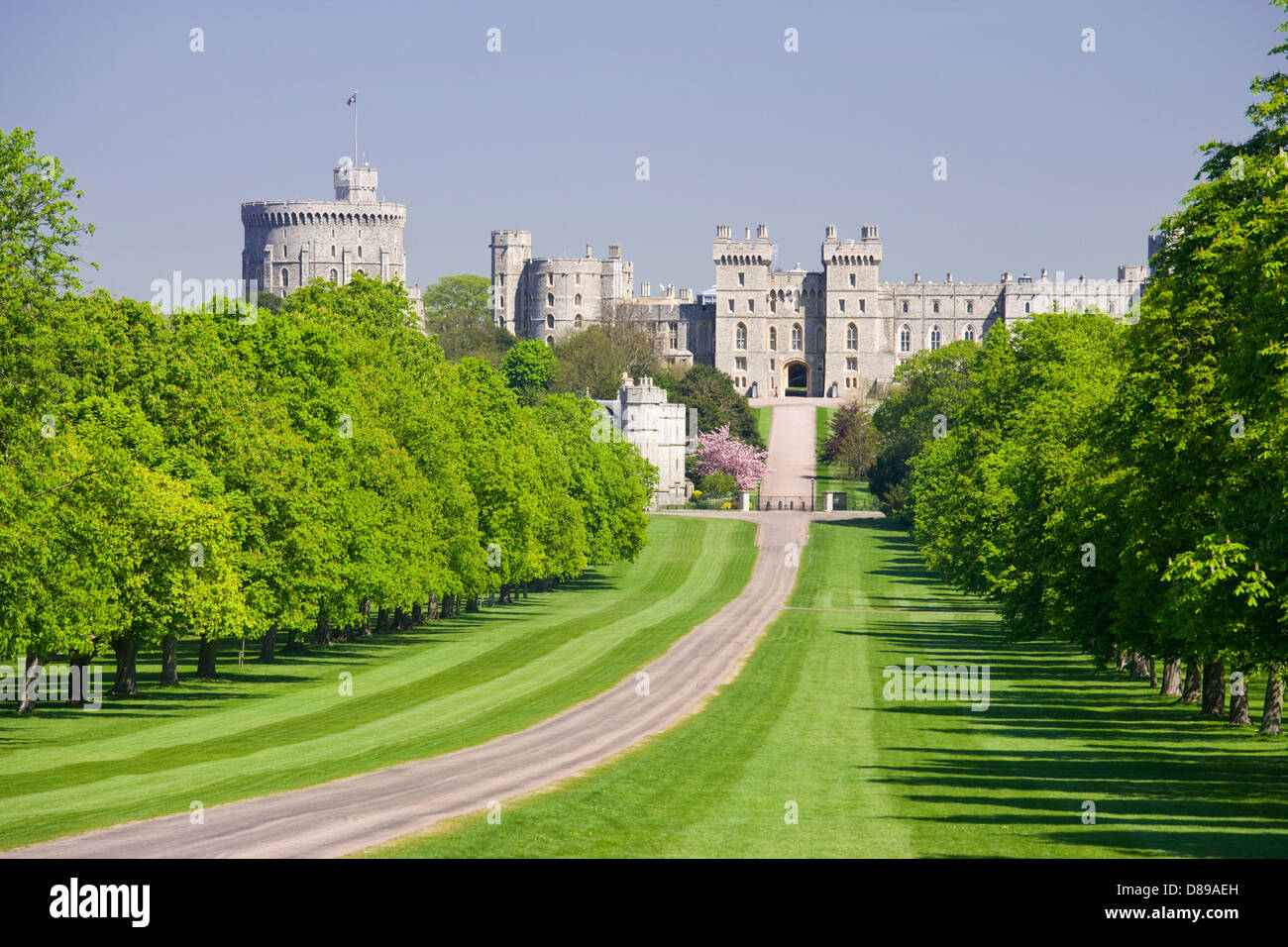 Windsor Castle from the Long Walk, Berkshire, England, UK. Stock Photo