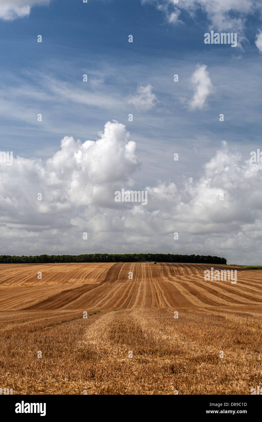 Field wave hi-res stock photography and images - Alamy