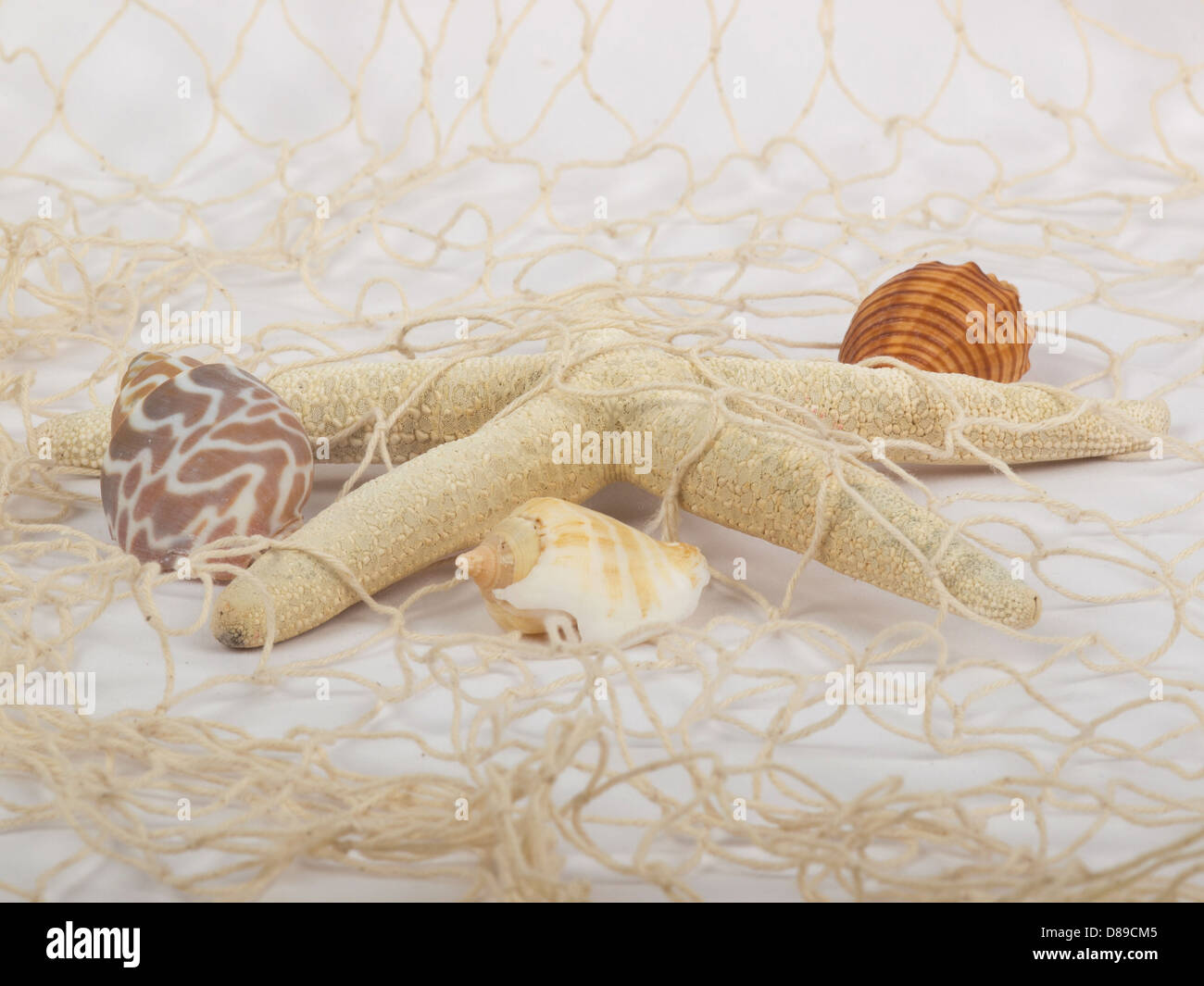 Decorations - Fishing Net With Starfish Stock Photo by