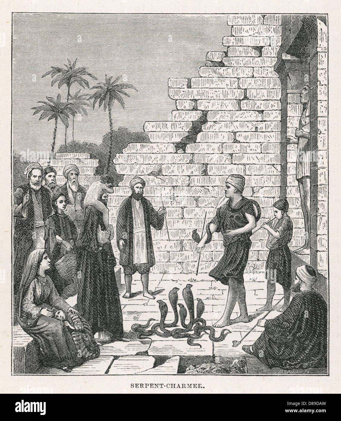 Egypt Snake Charmer Stock Photo Alamy