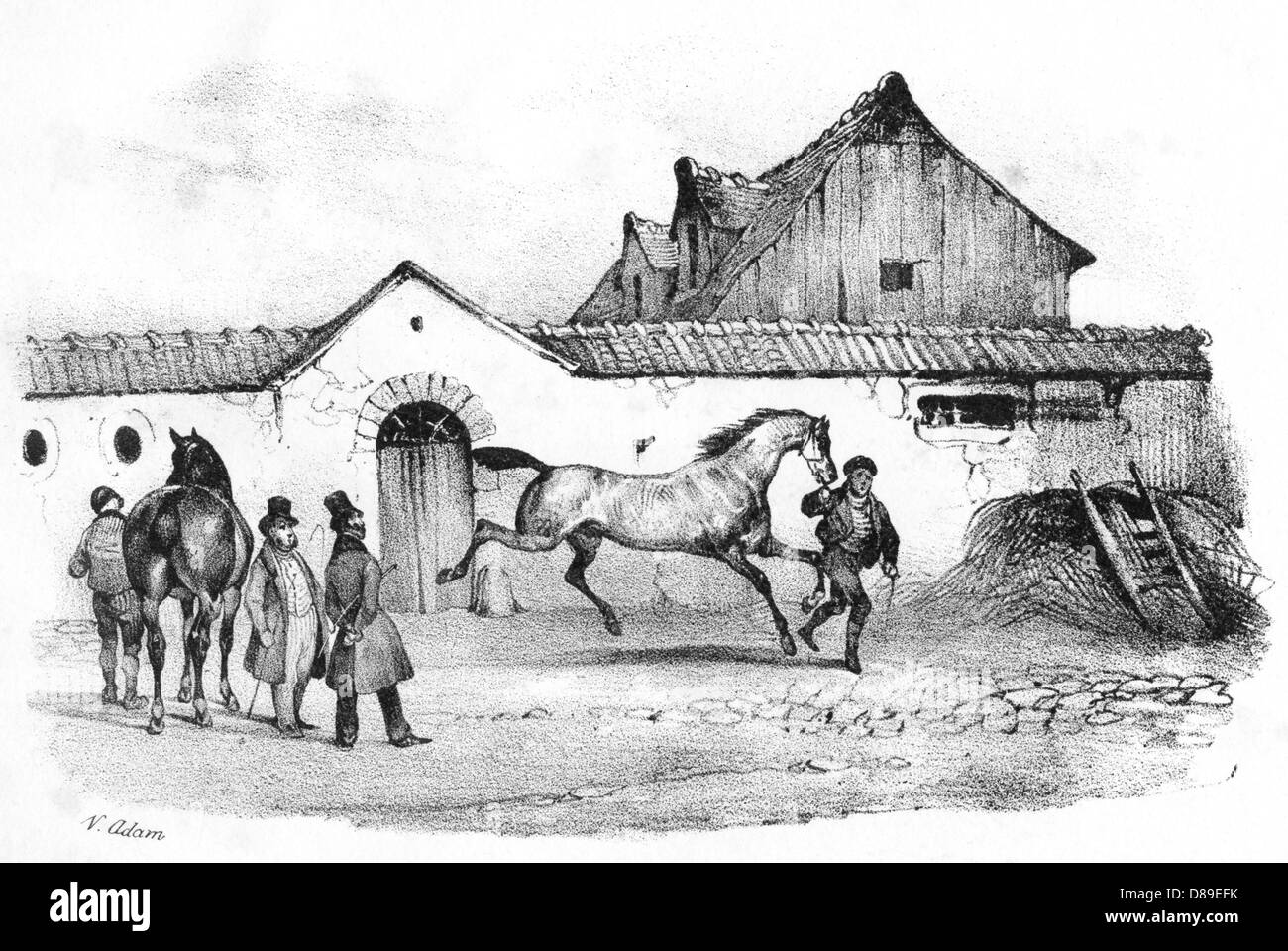 French Horse Trader Stock Photo Alamy