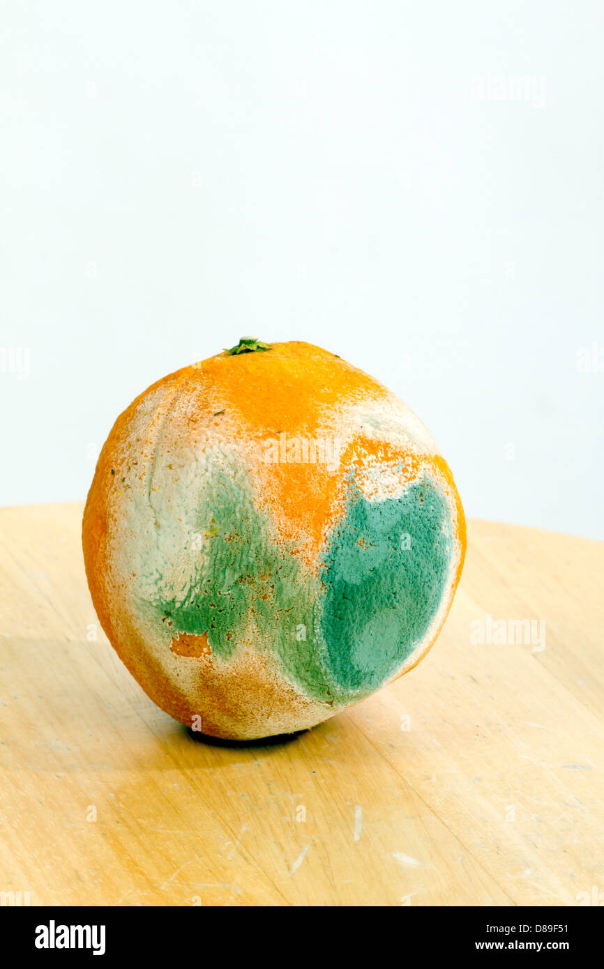 rotten fruit, mouldy orange cut open Stock Photo
