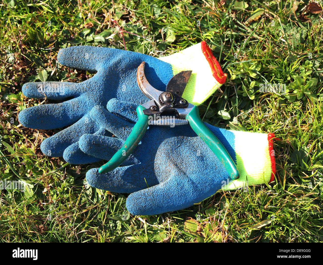 gloves and shears in the grass Stock Photo Alamy