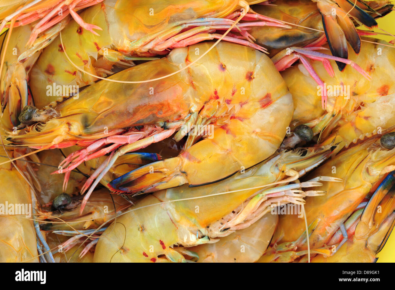 Banana Prawn High Resolution Stock Photography and Images Alamy