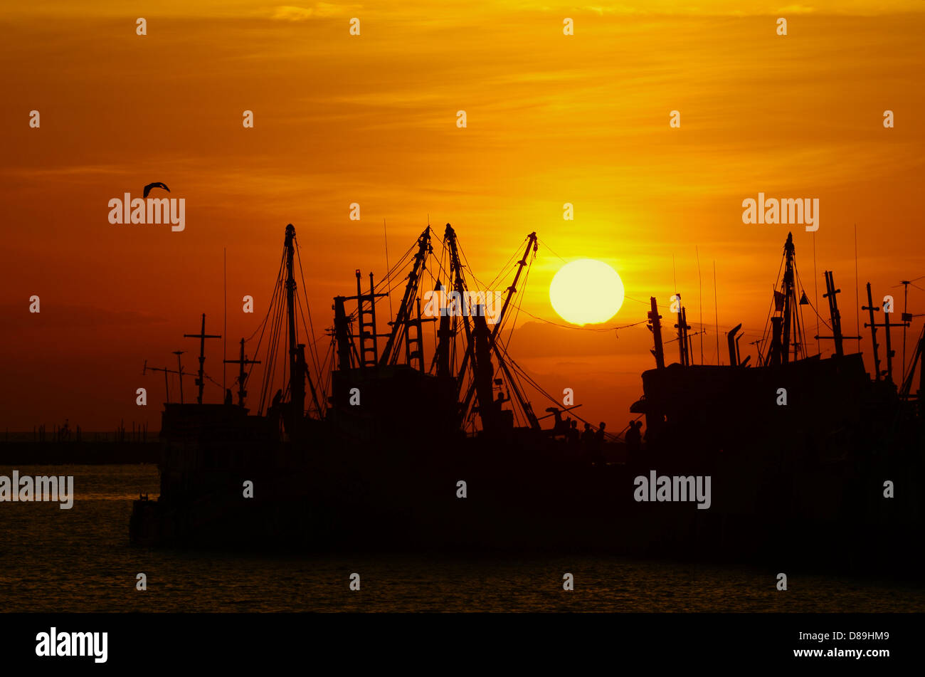 Fishing boat sunset hi-res stock photography and images - Alamy
