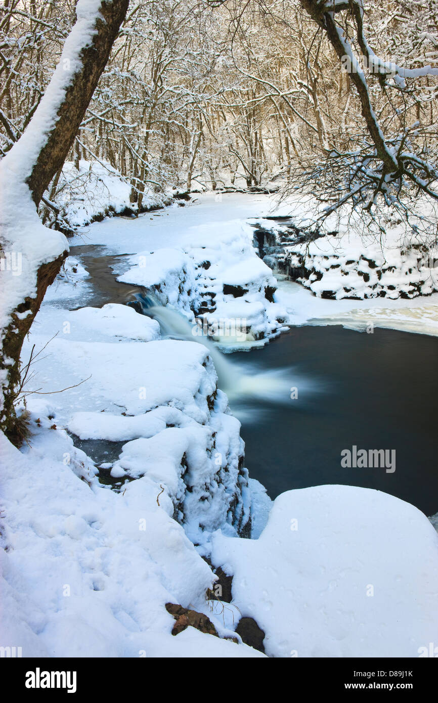 Neddfechan river on a cold winter's day Brecon Beacons National Park Powys Wales Stock Photo
