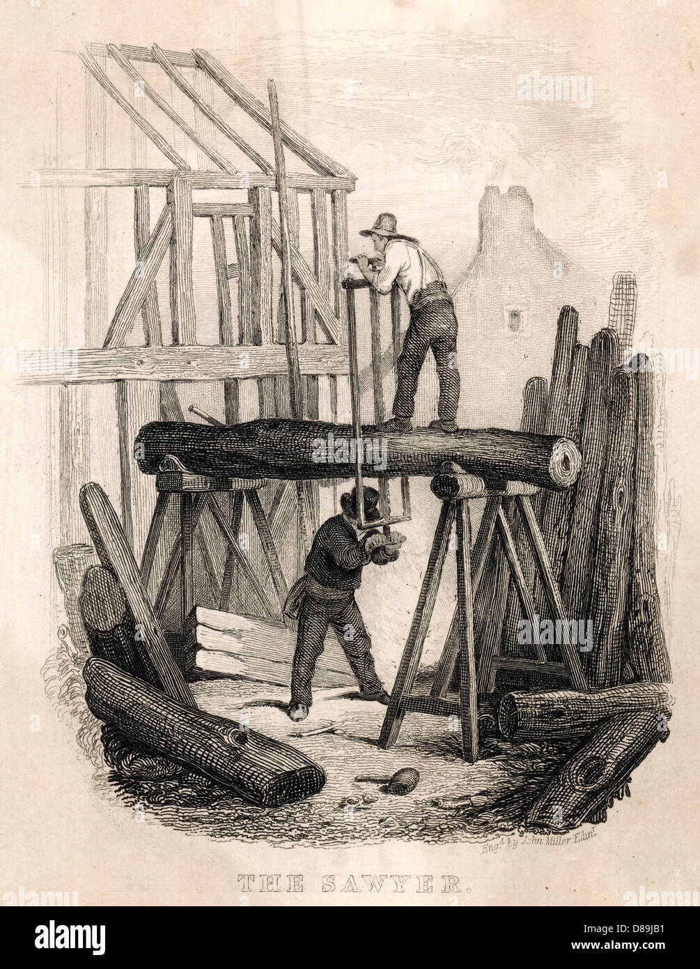 Timber Sawing 1835 Stock Photo