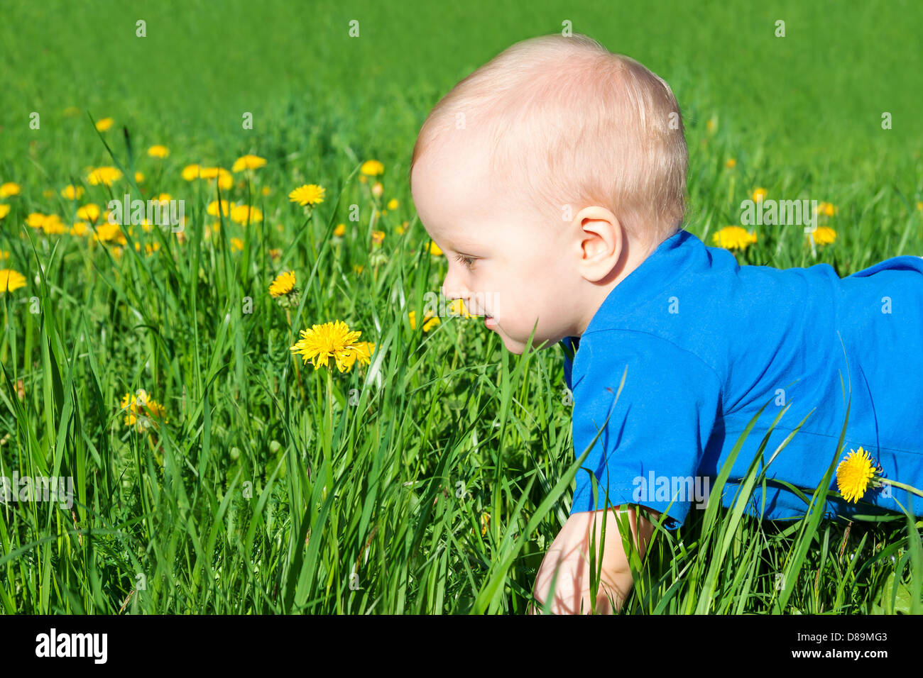 the small child on a green meadow Stock Photo