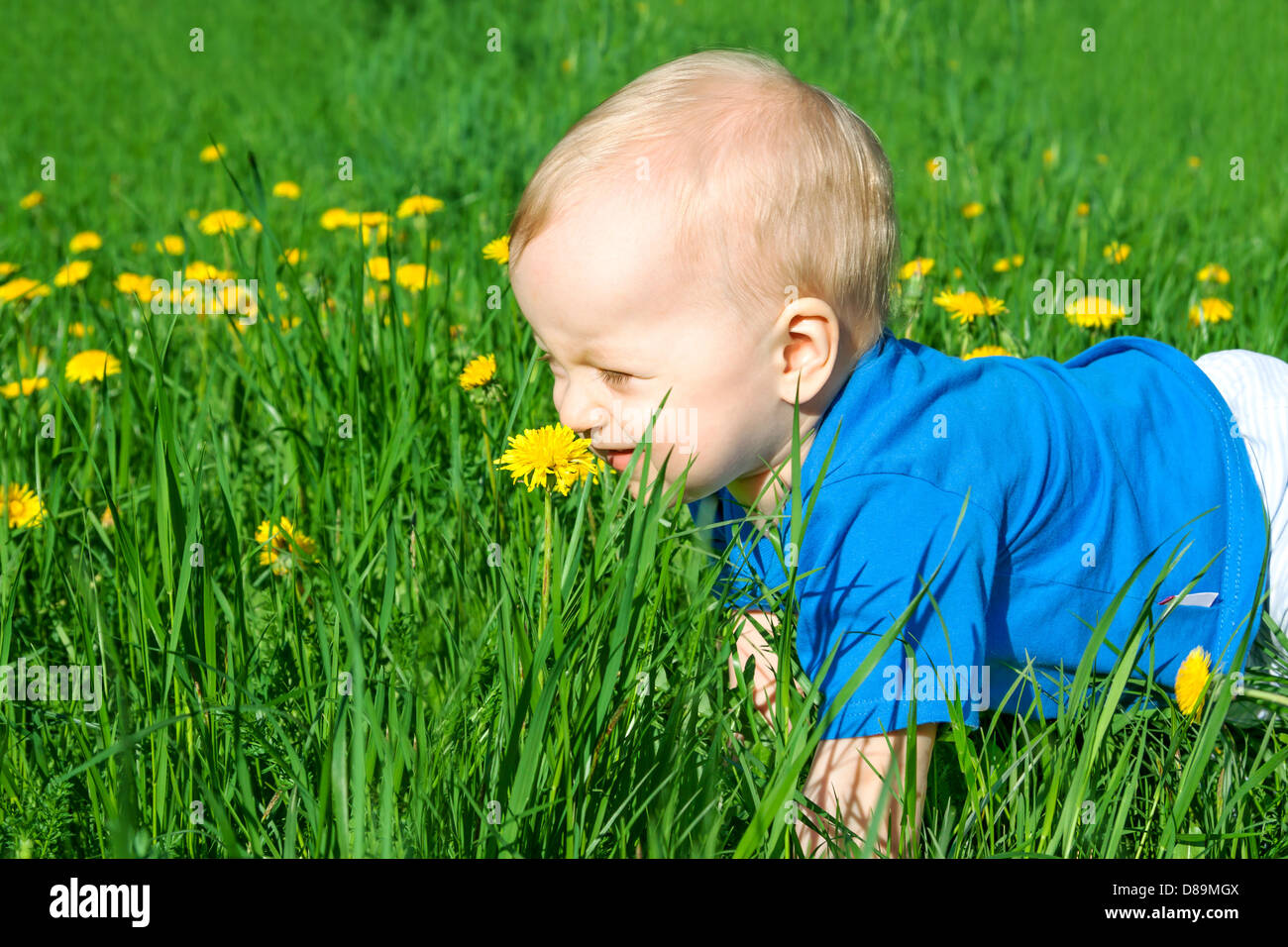 the small child on a green meadow Stock Photo