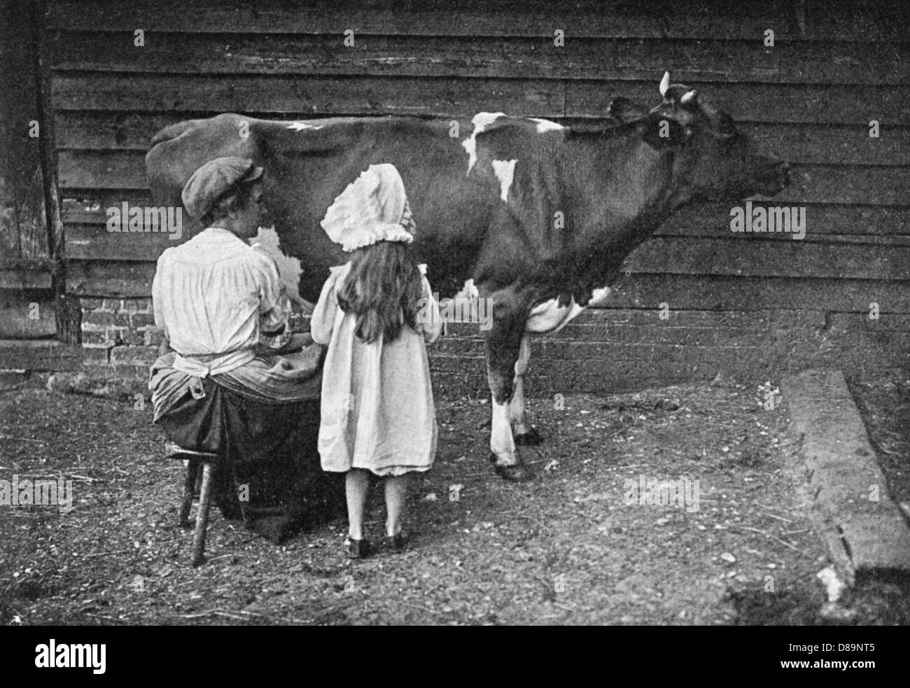 Cow Boy est sur le chemin toile de fond de douche de bébé en bois brun