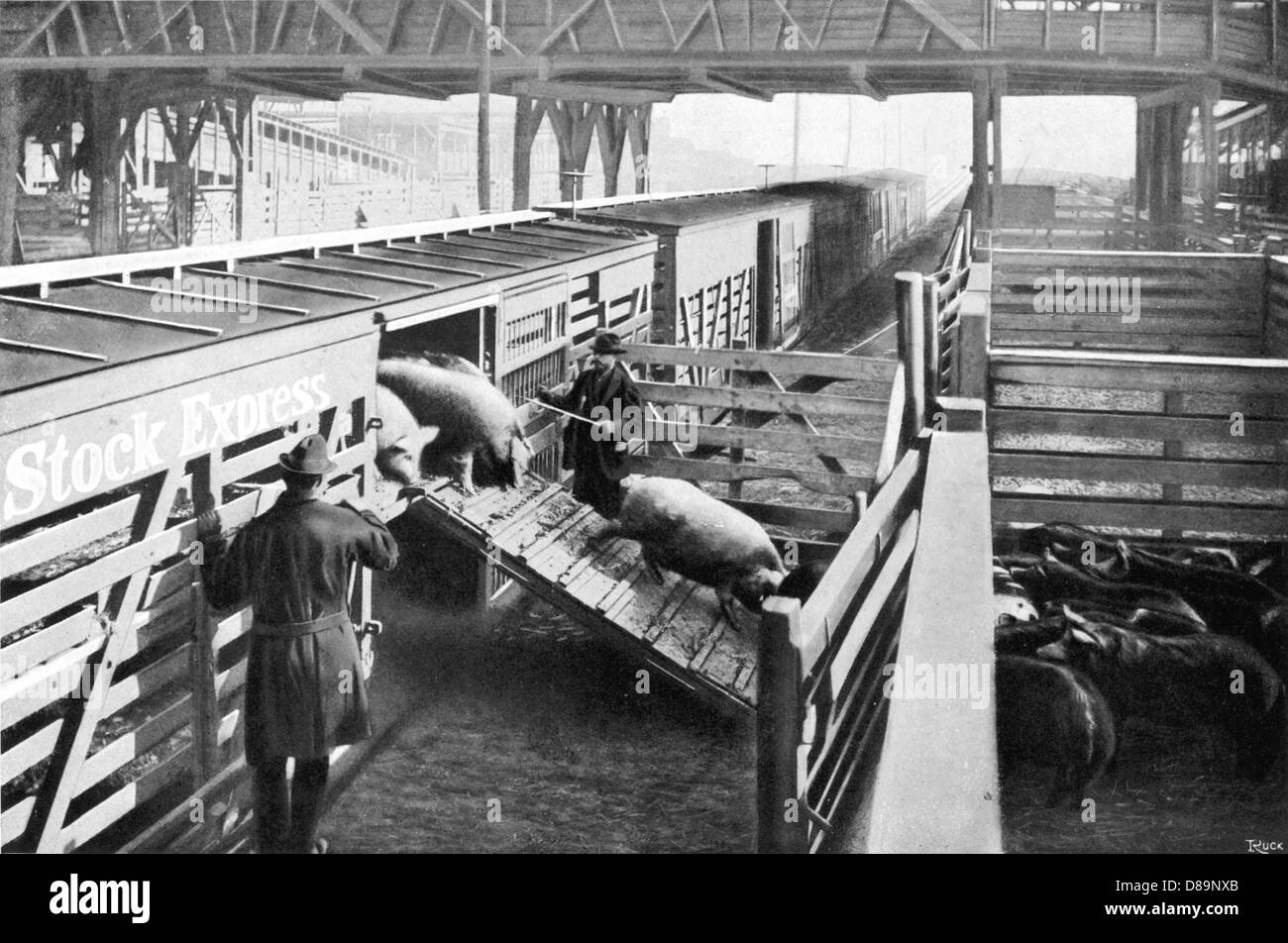 Chicago Stockyards, Chicago, Illinois, USA Stock Photo Alamy