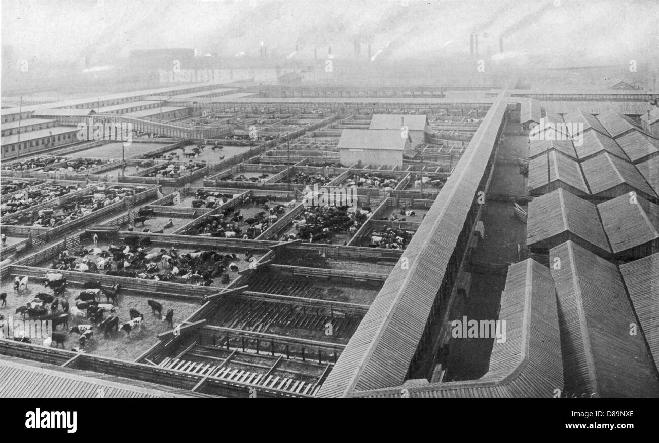 1946 Photo Sky View Livestock Yards Chicago 