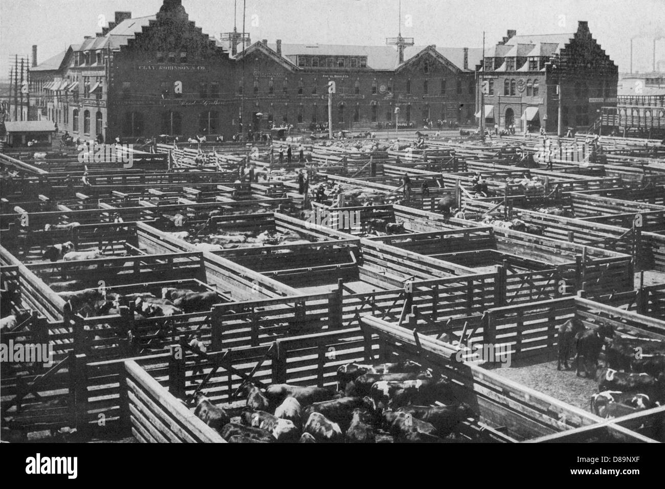 Chicago Stockyards 5 Stock Photo Alamy