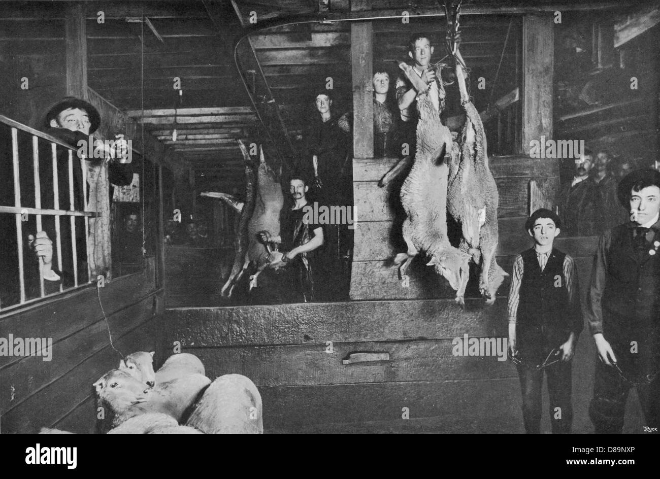 Chicago Stockyards 8 Stock Photo Alamy