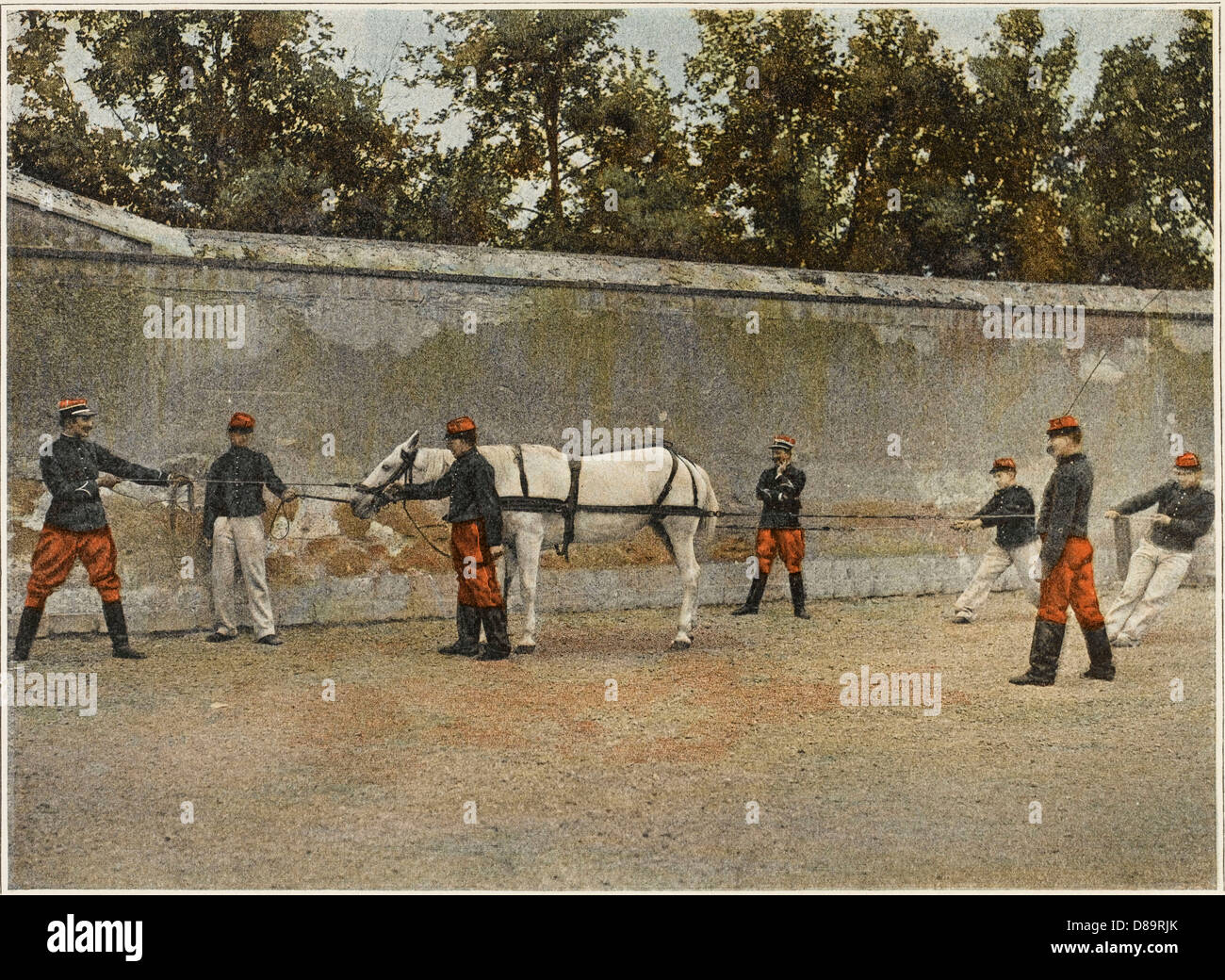 TRAINING ARMY HORSE Stock Photo Alamy