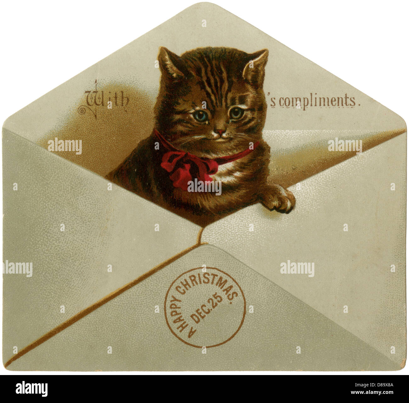 Cat in Envelope Stock Photo - Alamy