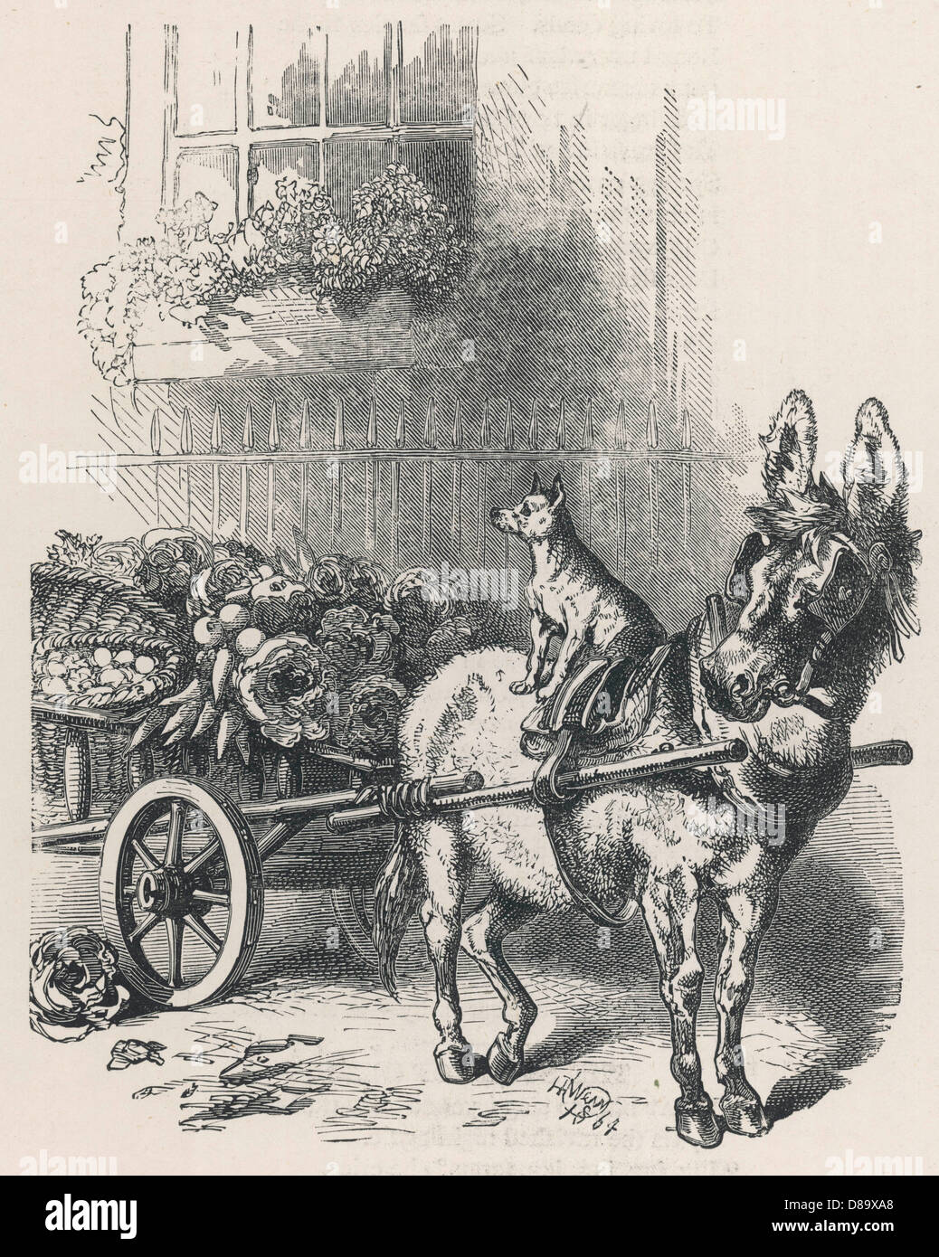 Donkey - Cart - Dog - 1896 Stock Photo