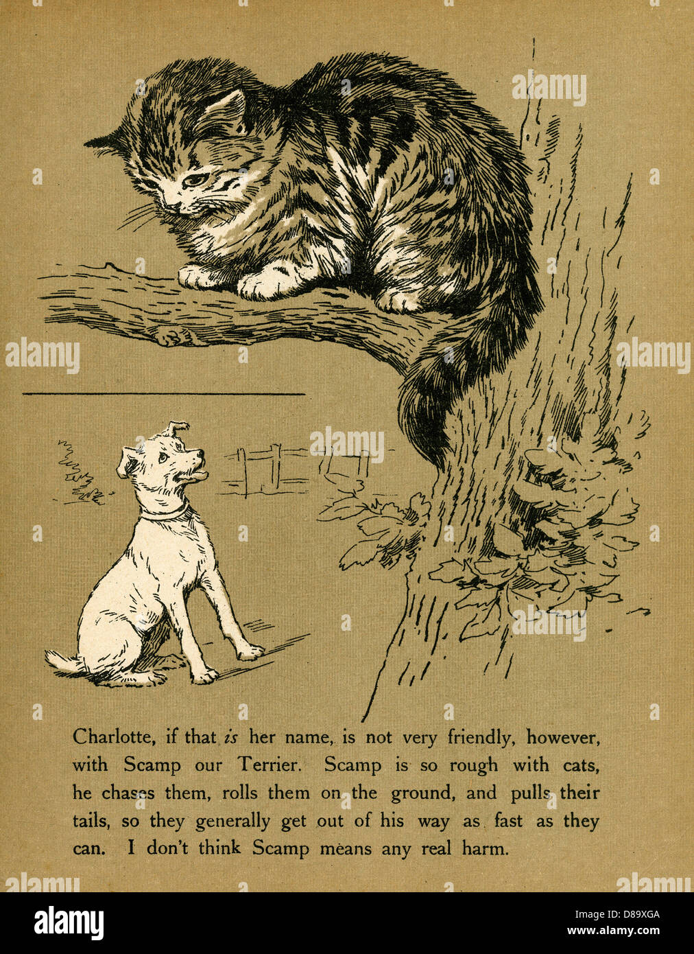 Chased by dog hires stock photography and images Alamy