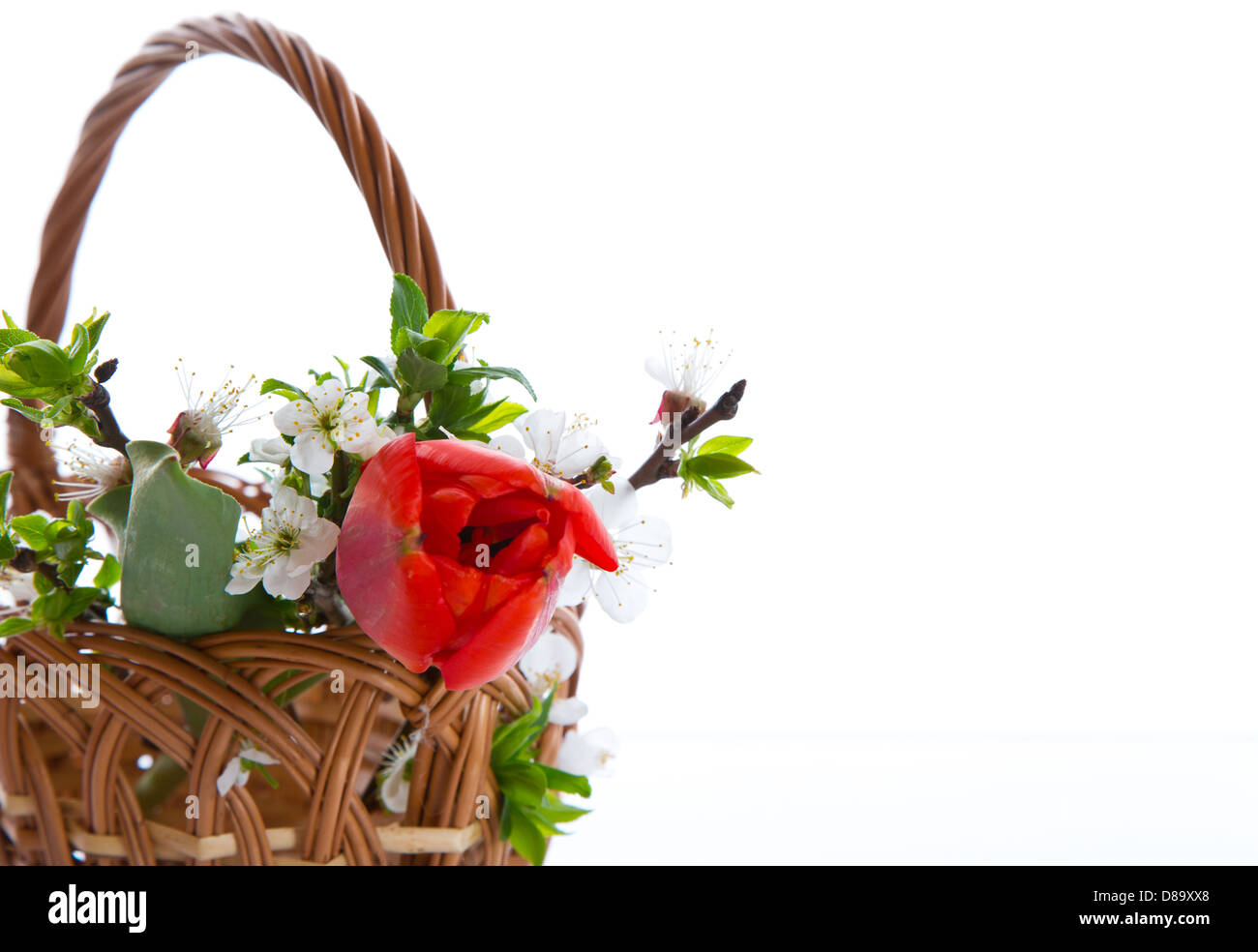 bouquet of spring flowers on a white background Stock Photo - Alamy