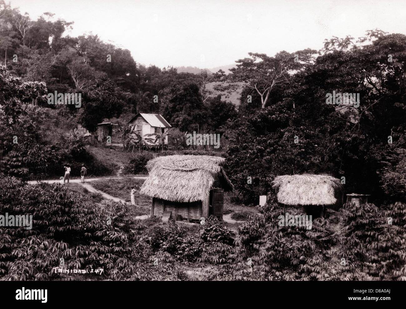 Village, Trinidad, ca 1900 Stock Photo