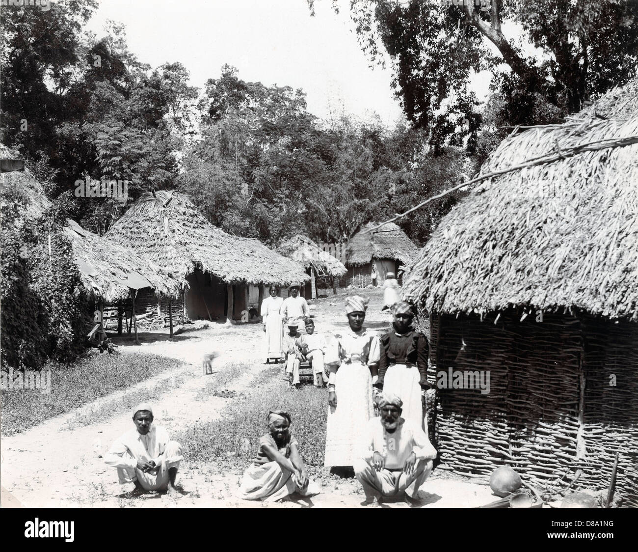Coolie Hut, Jamaica, ca 1890, by A. Duperly & Sons Stock Photo