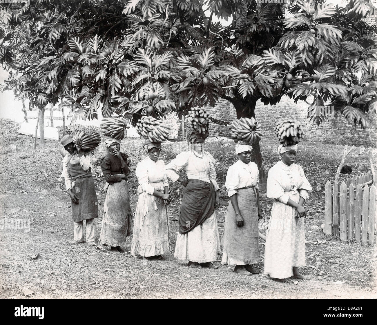 Banana Carriers, Jamaica, ca 1895, by A. Duperly & Sons Stock Photo