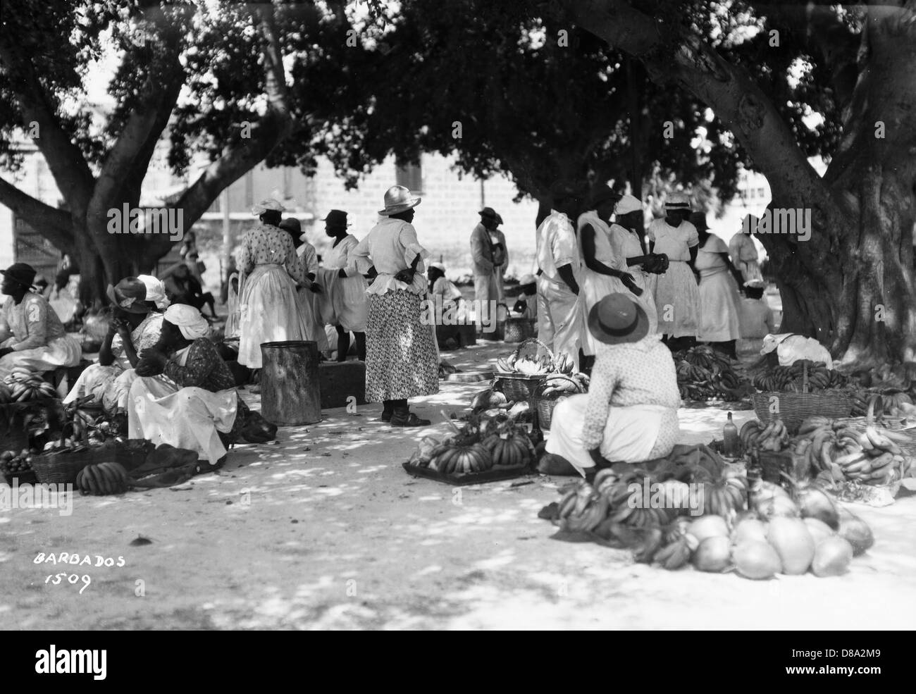 Fruit Market, Bridgetown, Barbados, ca 1930, by Douglas Cornhill Stock Photo