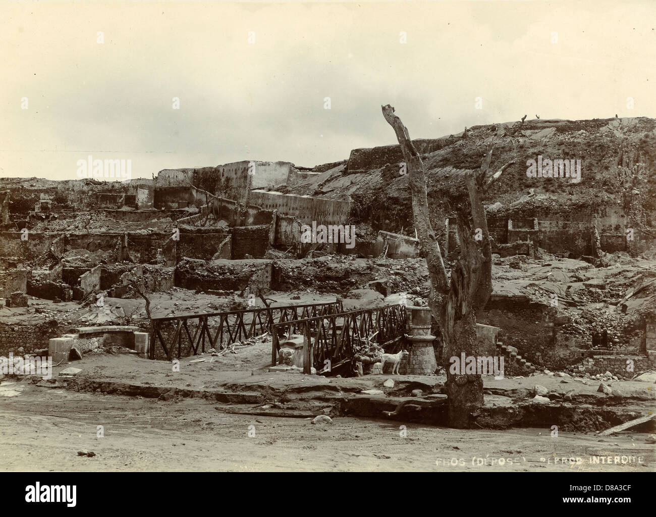 Le Pont Verger, Over the Roxelane, St Pierre, Martinique, ca 1902, by Phos Stock Photo